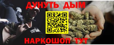 jwh Новозыбков